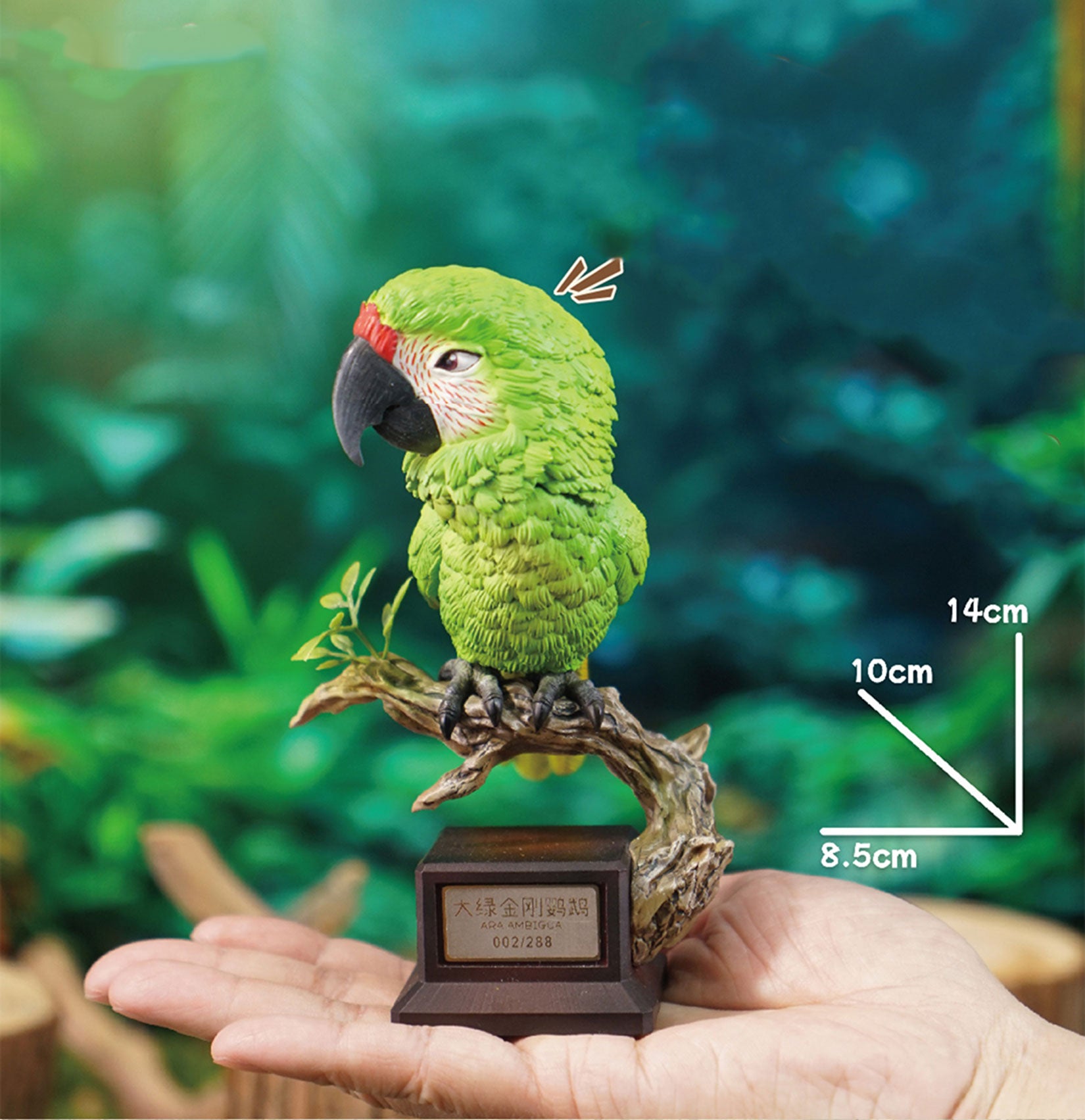 Great Green Macaw & Hyacinth Macaw Parrot Model