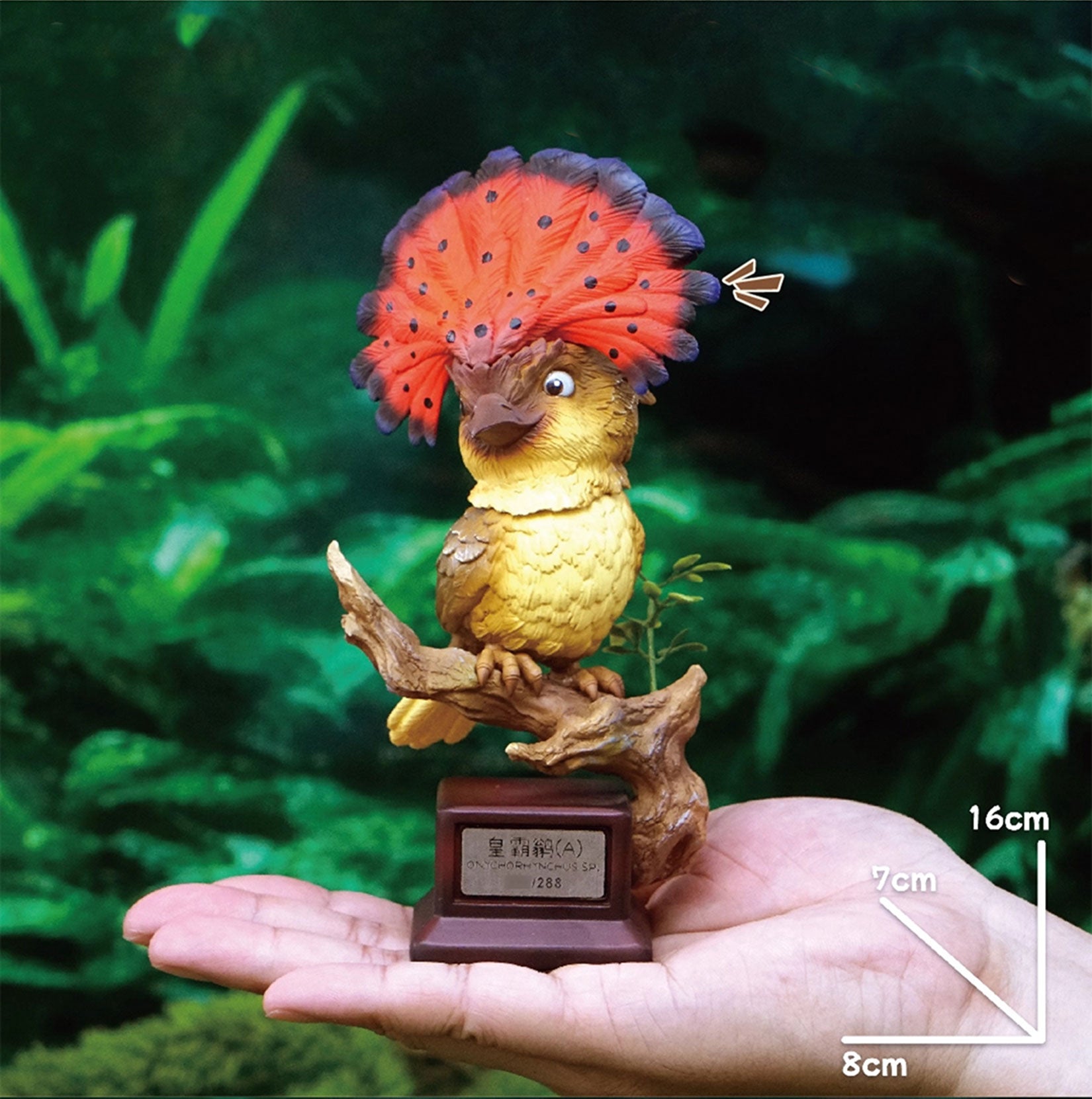 Onychorhynchus Coronatus Model Resin Bird Figure
