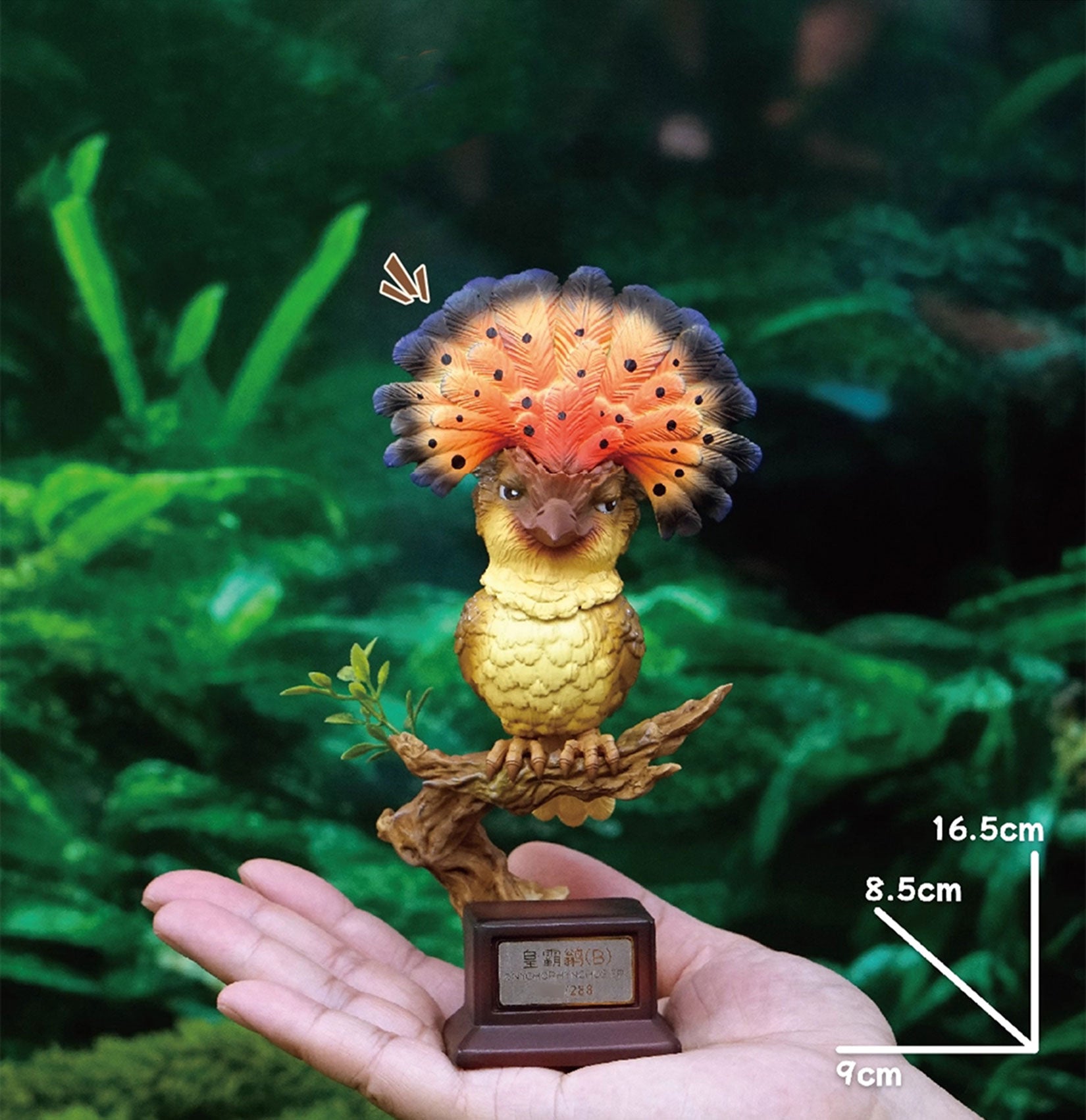 Onychorhynchus Coronatus Model Resin Bird Figure