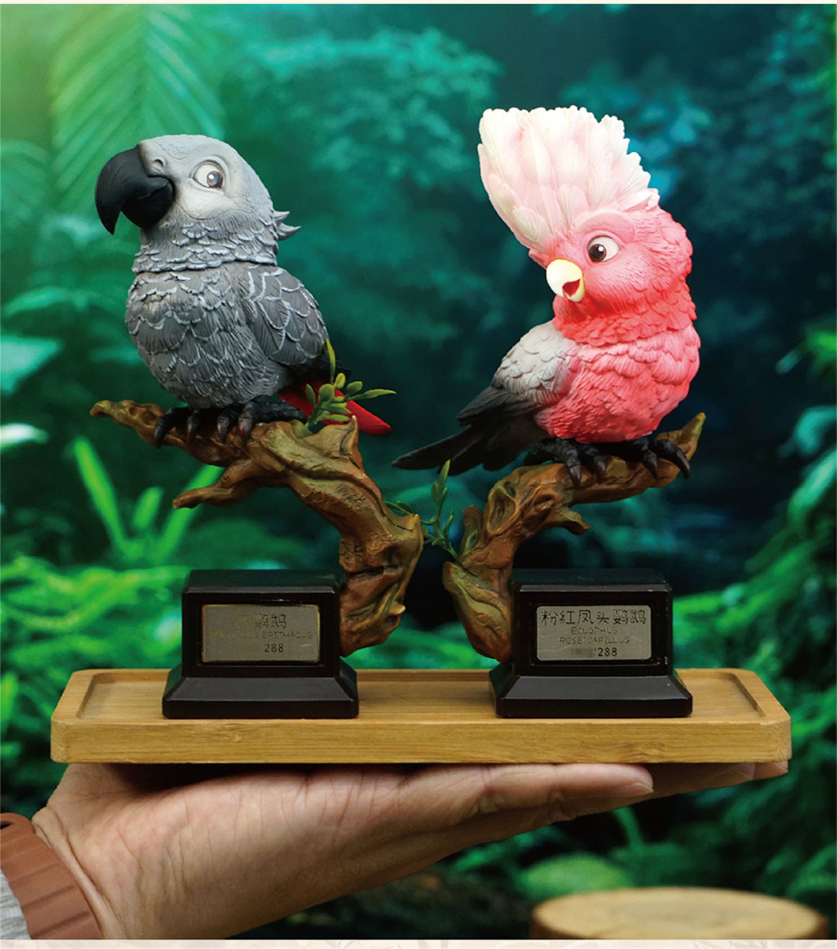 Psittacus Erithacus & Eolophus Roseicapilla Parrot Model