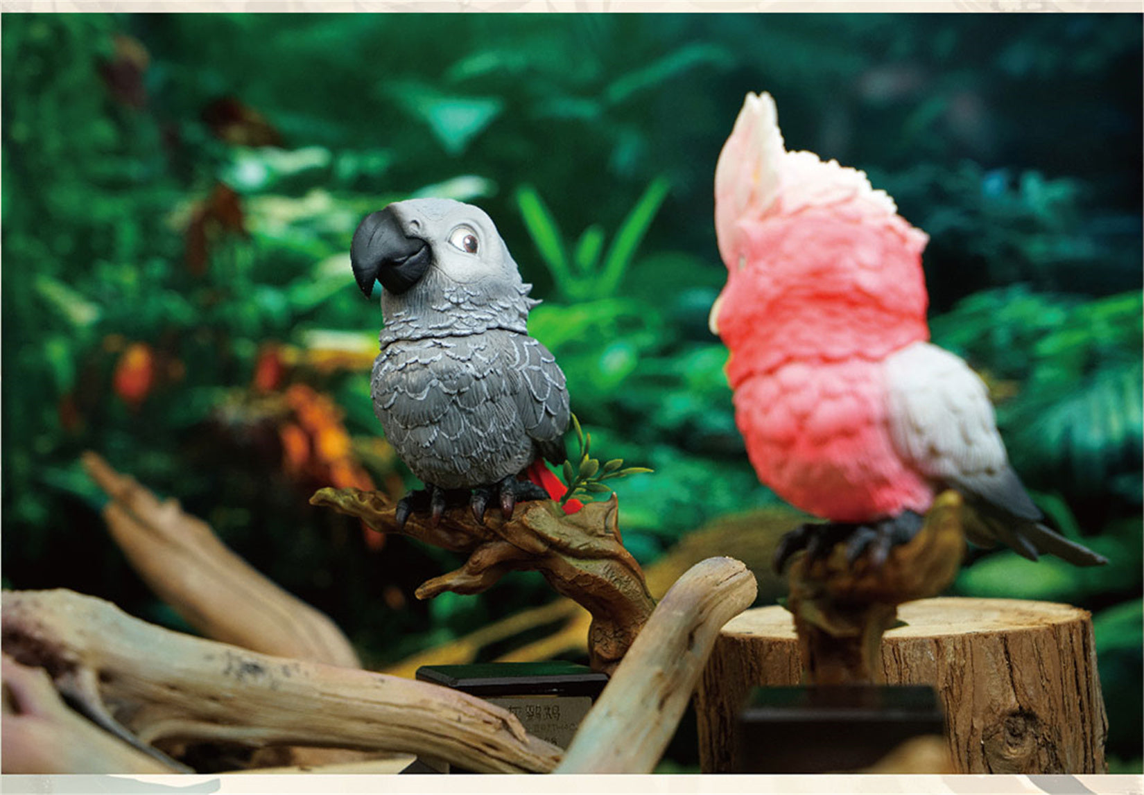 Psittacus Erithacus & Eolophus Roseicapilla Parrot Model