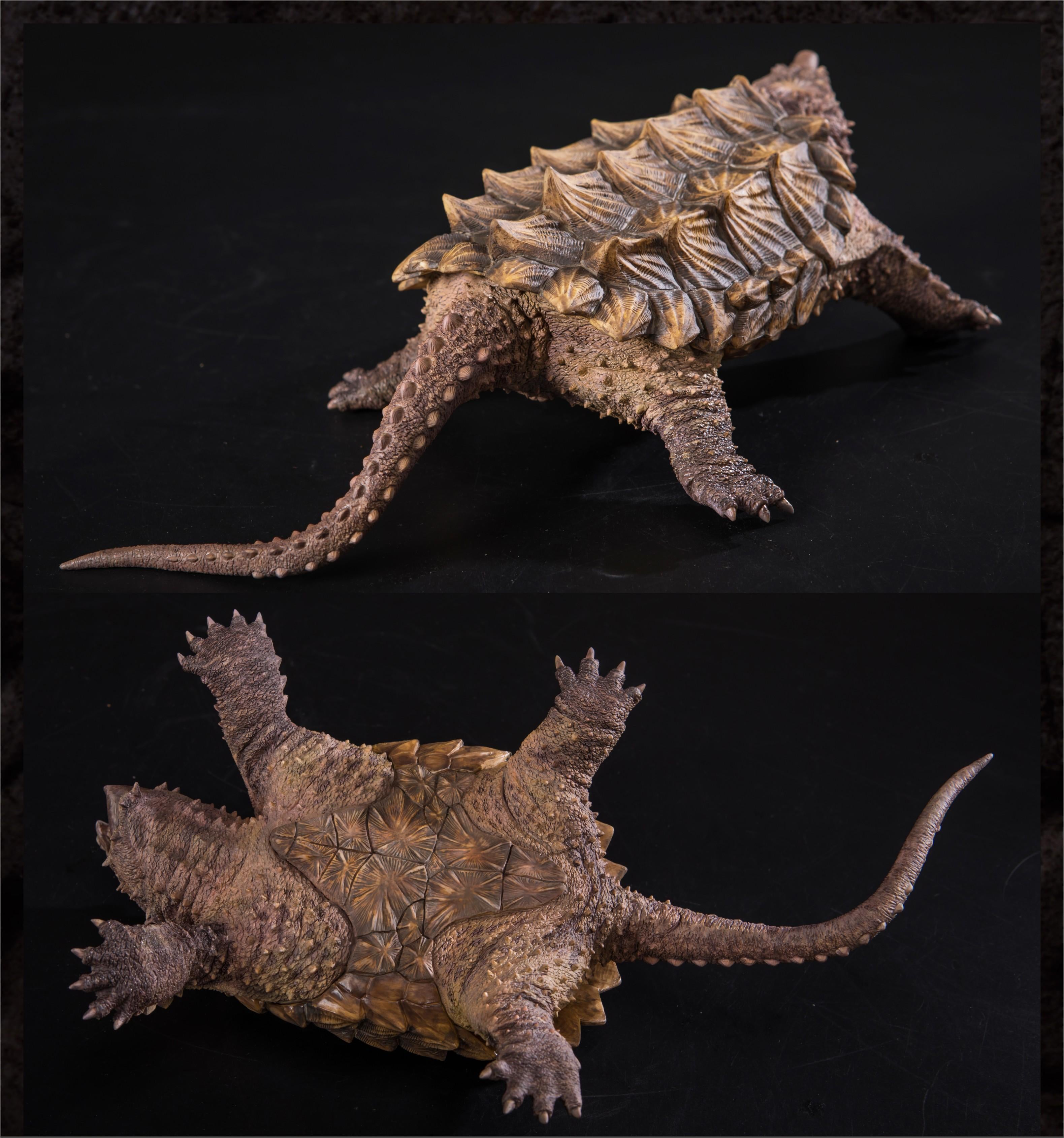 Macrochelys Temminckii Figure