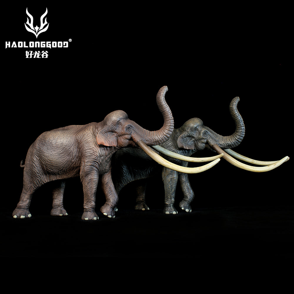HAOLONGGOOD 1:35 Scale Palaeoloxodon Model