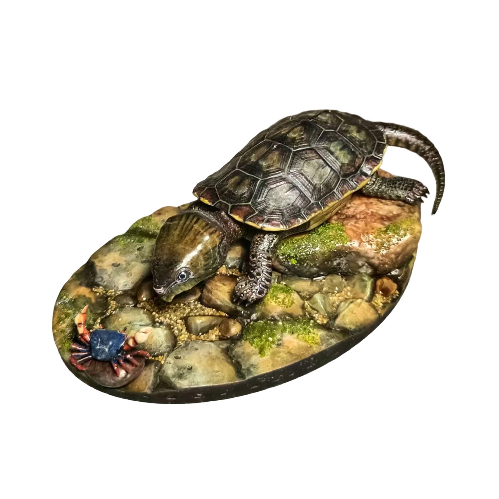 Big-headed Turtle Model