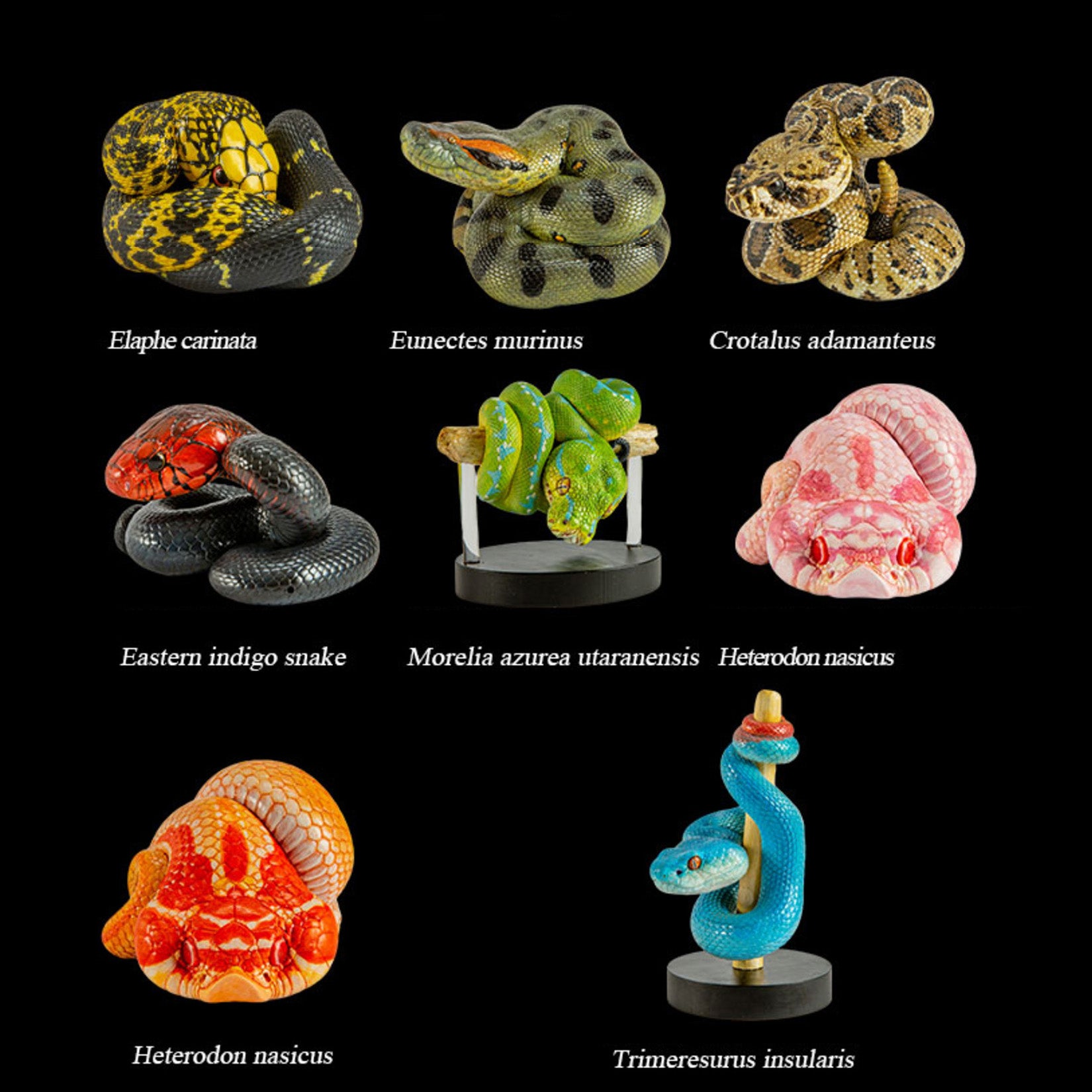 Animal Heavenly Body Snake 4.0 Animal Figurine Model