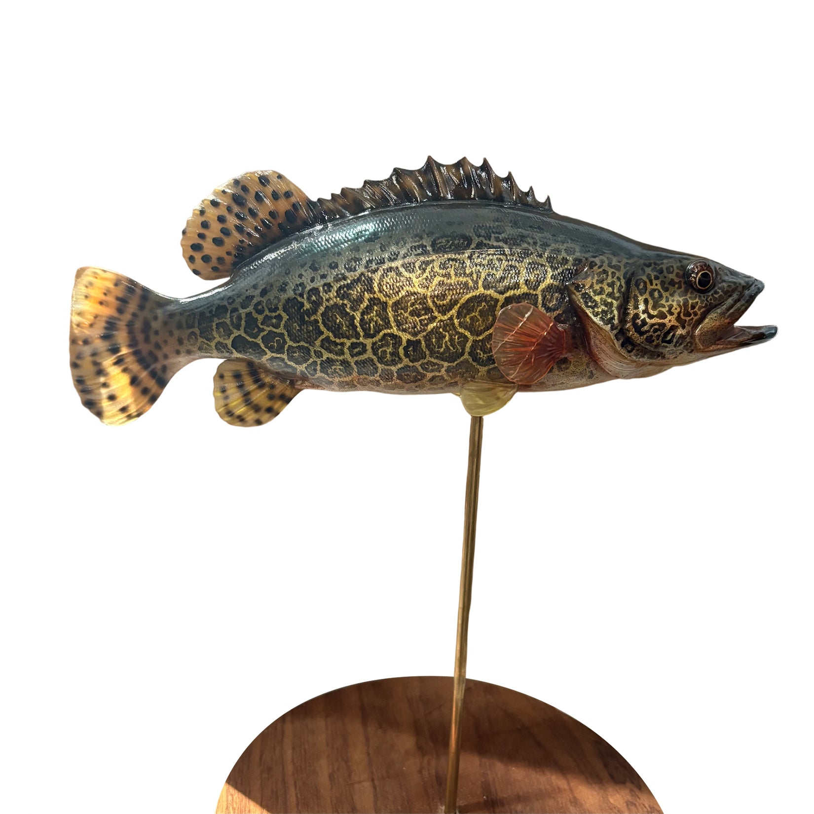 Siniperca Scherzeri  Model Fish Figure