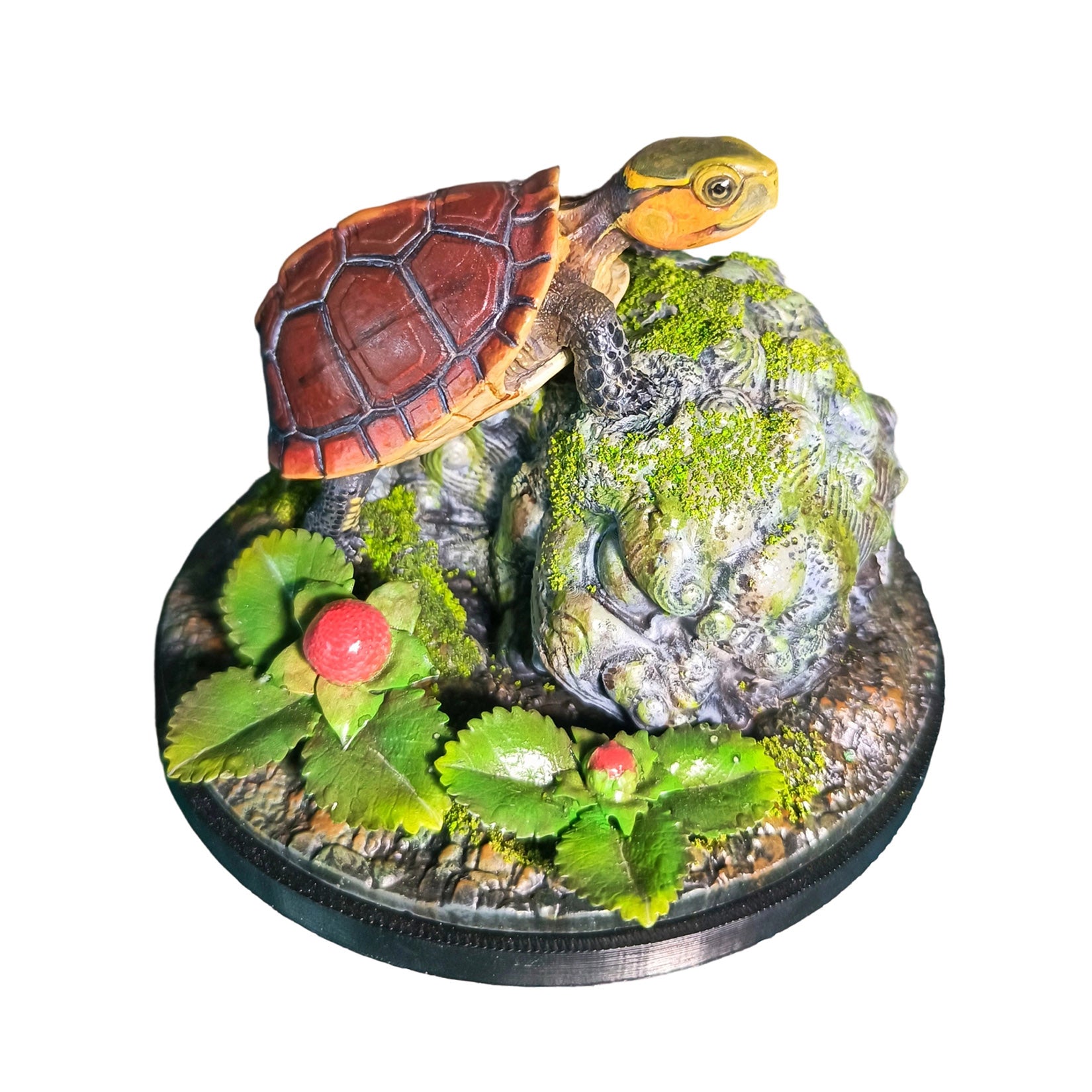 Yellow-margined Box Turtle Baby Model