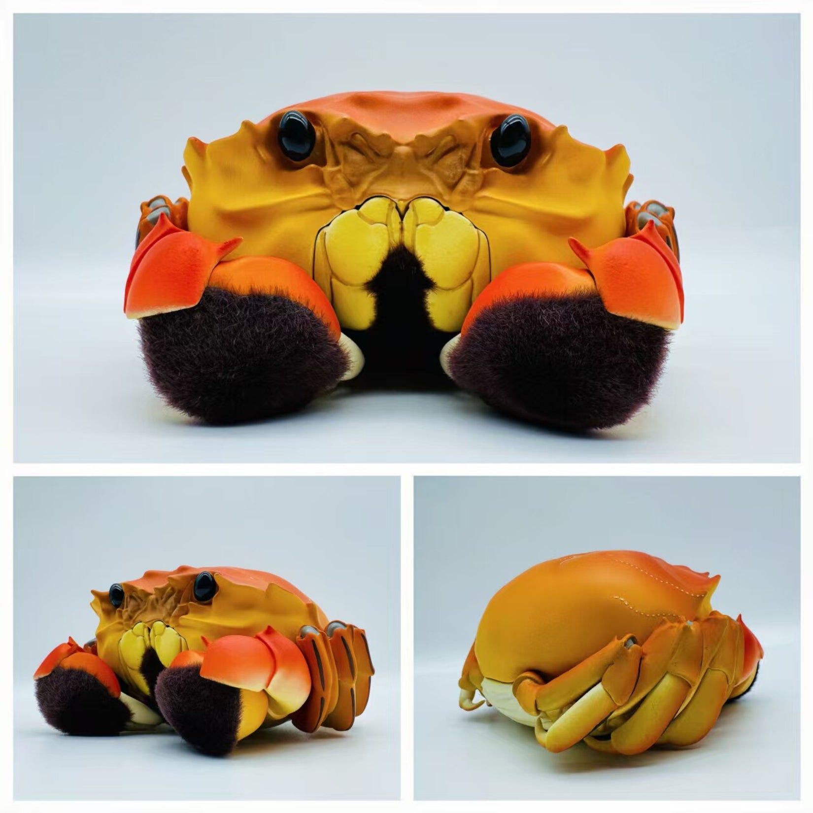 Animal Heavenly Body Chinese Mitten Crab PLUS‑Version Model
