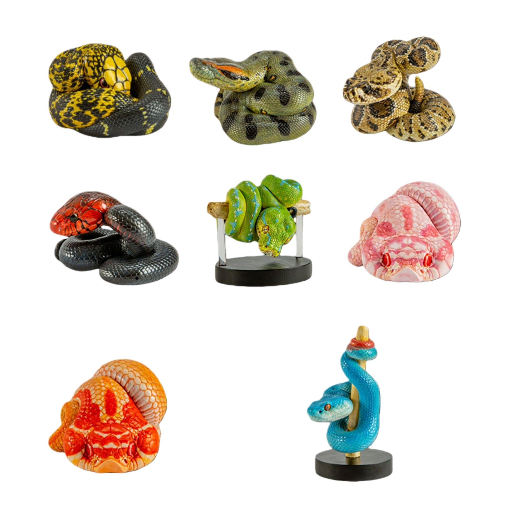 Animal Heavenly Body Snake 4.0 Animal Figurine Model