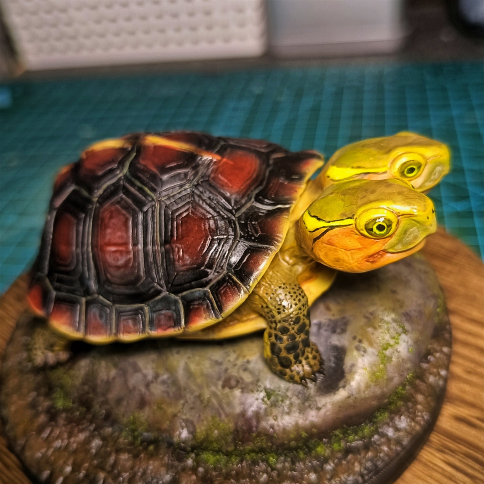 Two-headed Yellow-margined Box Turtle Model