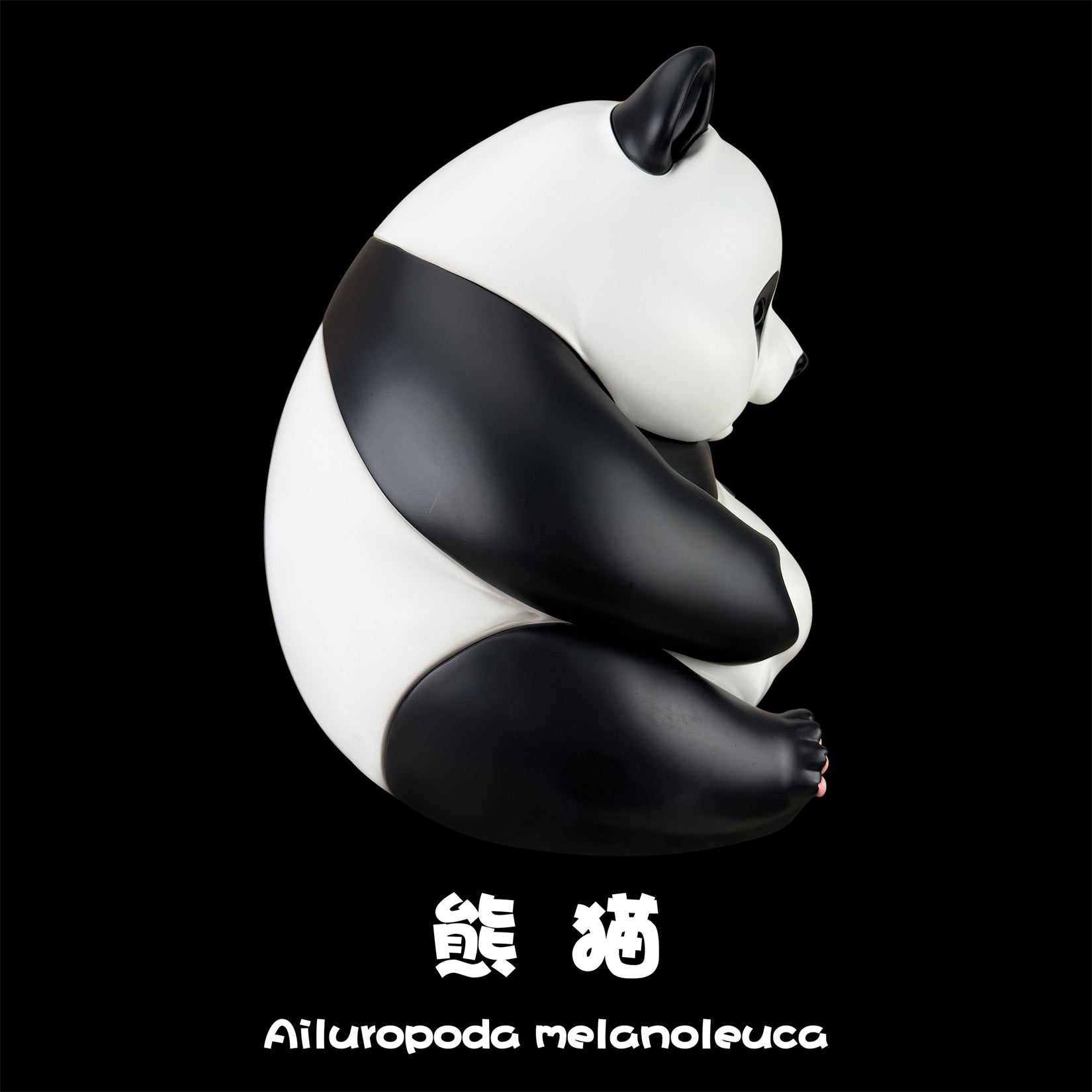 BOWUZHI Studio  Plus  Panda Model