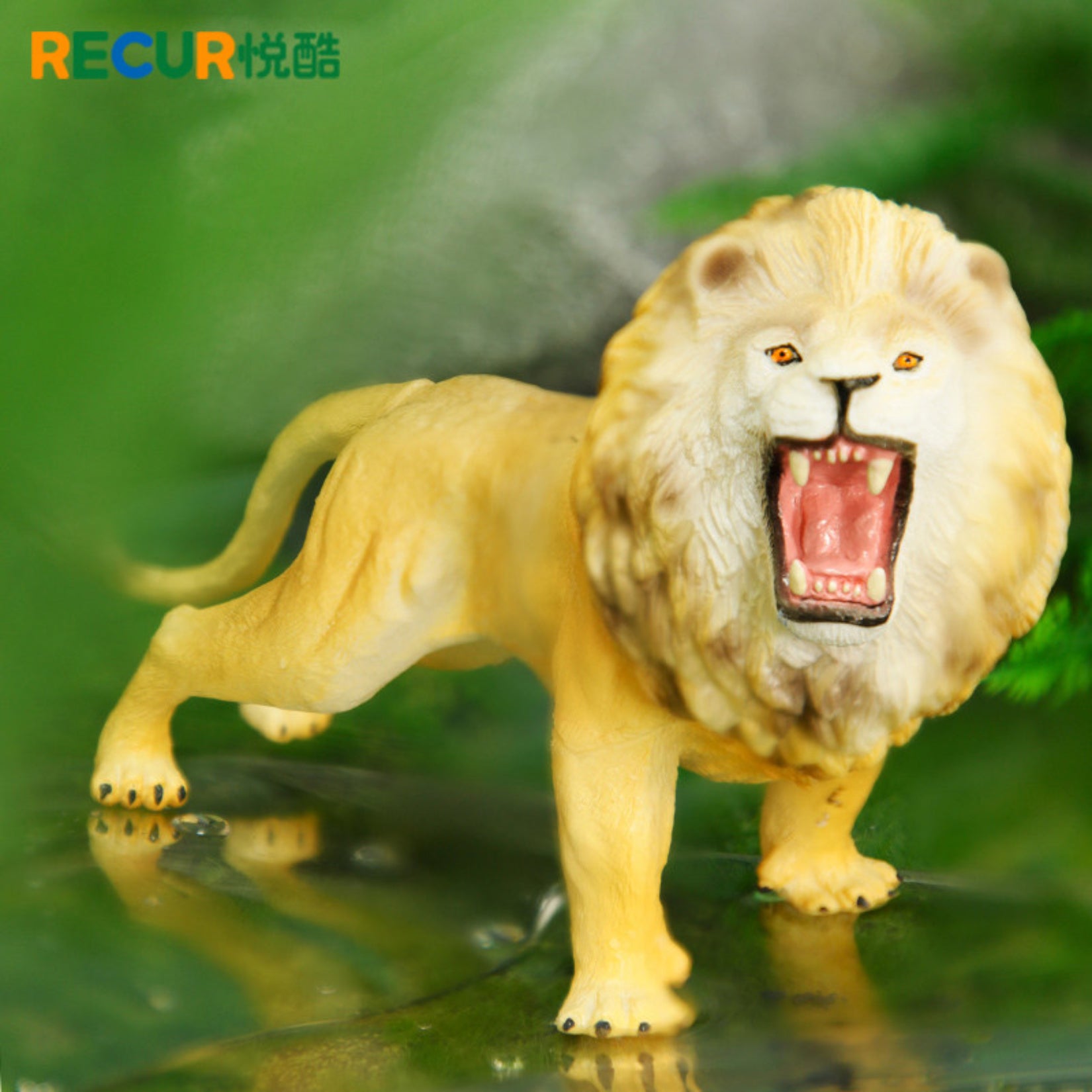 RECUR Lion Lioness Wild Animal Model