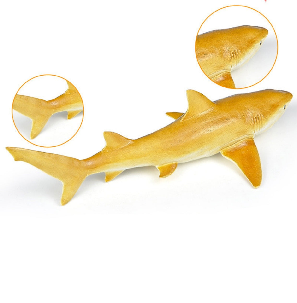 RECUR Lemon Shark Model