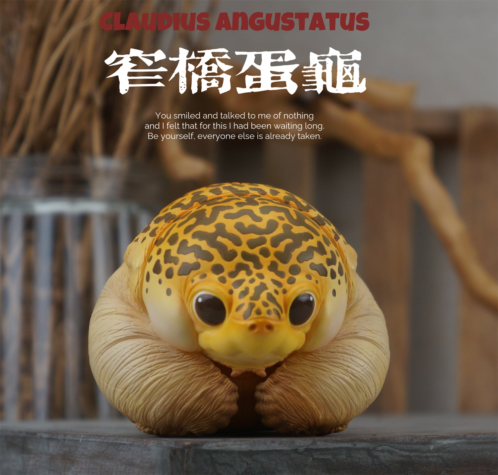 Turtle Series  Animal Model