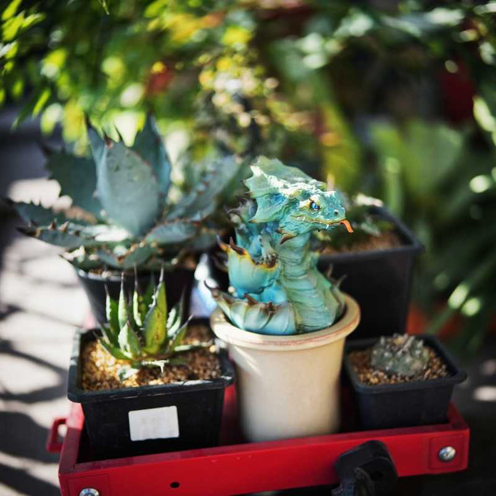 Blue Whale Skink Model