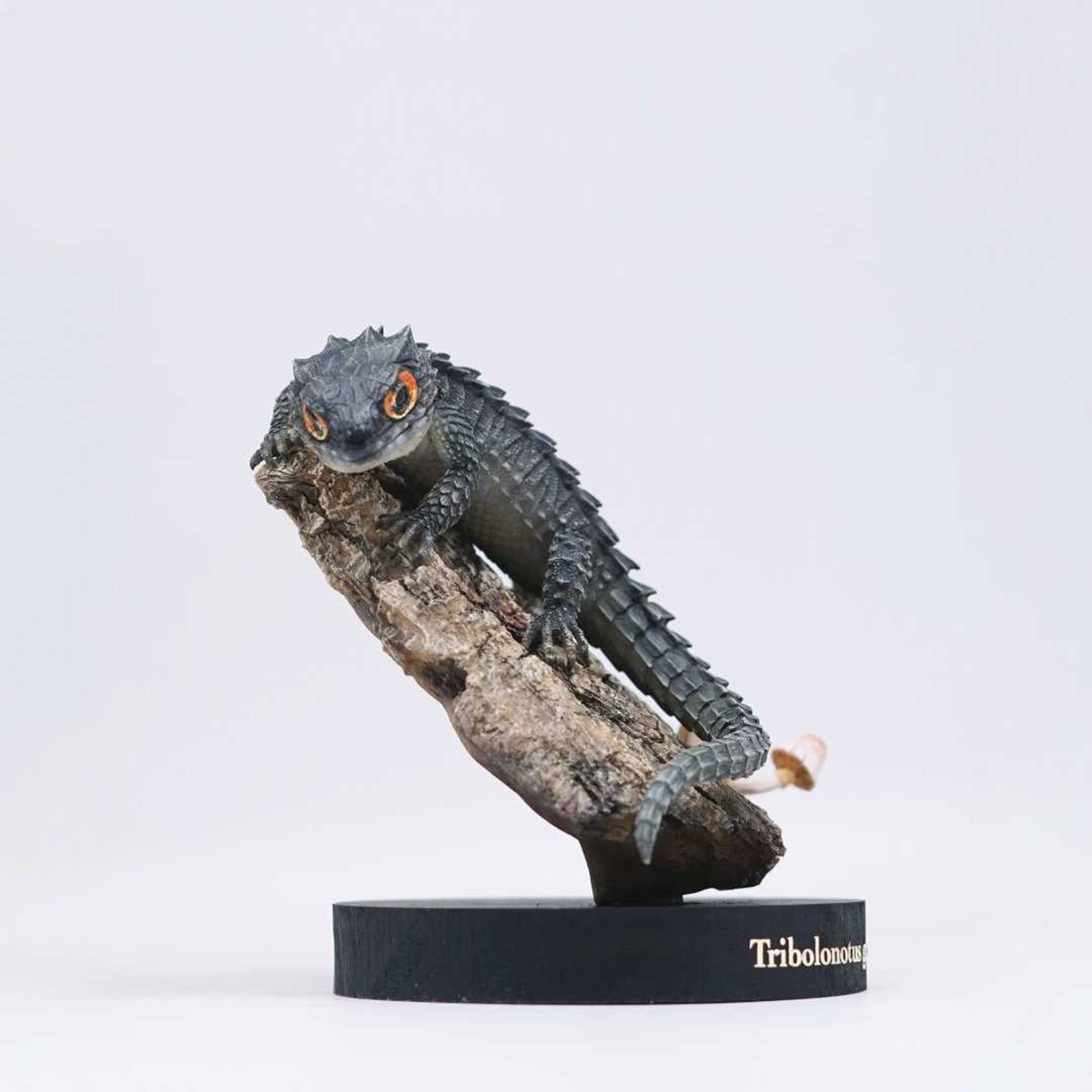 Schildkröten-Serie Tiermodell 