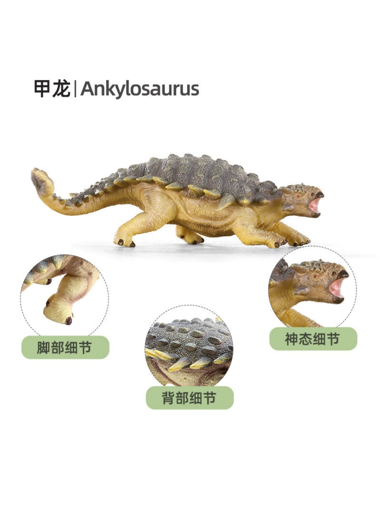 RECUR Ankylosaurus Dinosaur Model