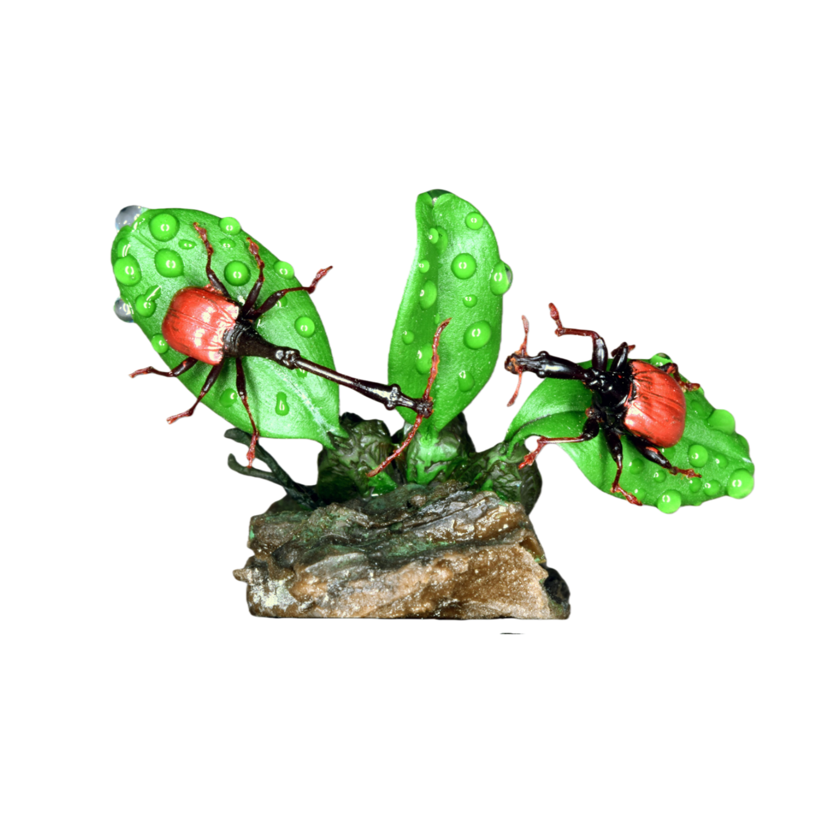 Trachelophorus Giraffa Insect Model