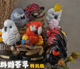 BOWUZHI STUDIO Parrot Series Special Edition Model