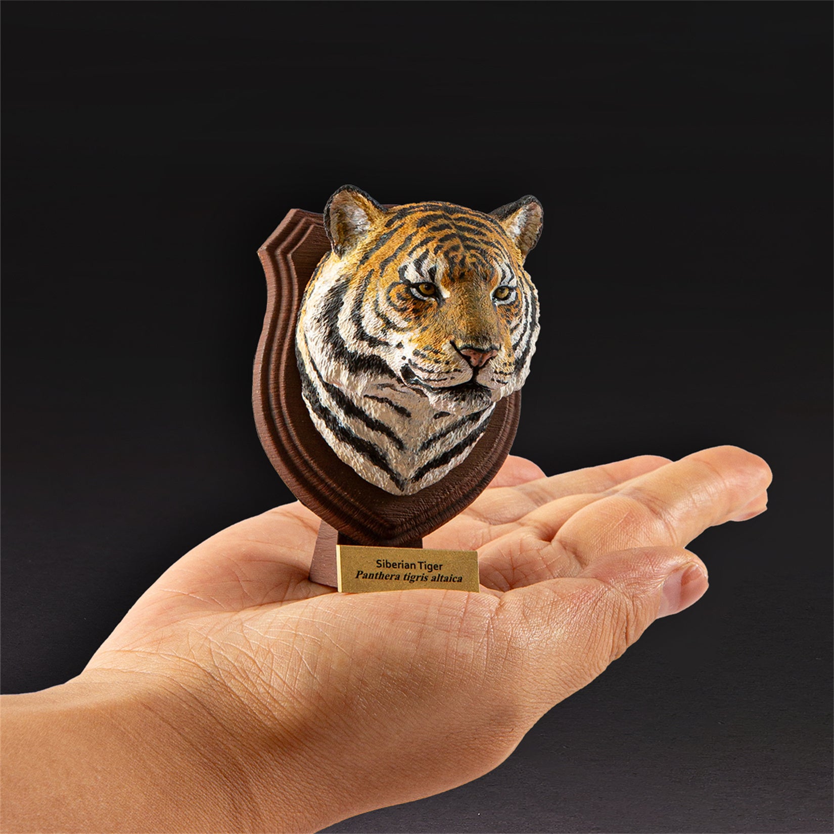 Animal Planet  World Encyclopedia Of Animals