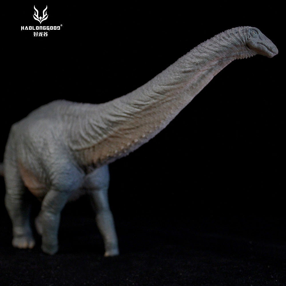 HAOLONGGOOD 1:35 Scale Apatosaurus Model