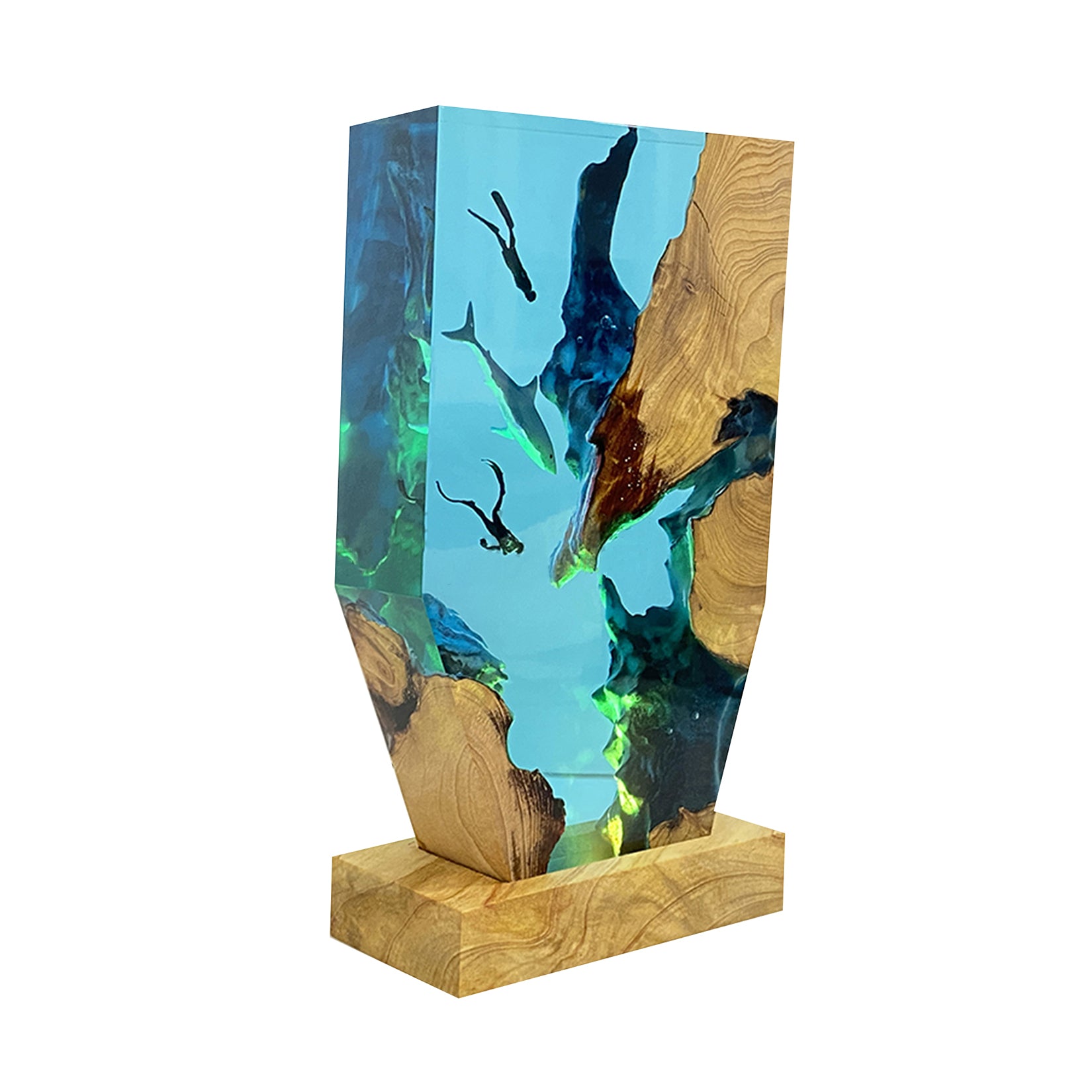 The Shark & Divers Ocean Model