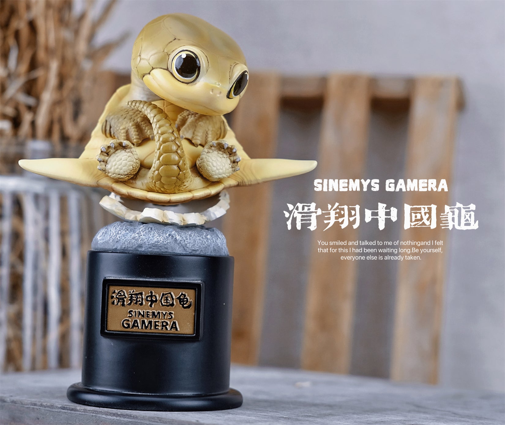 BOWUZHI Studio Sinemys gamera Meiolania Model