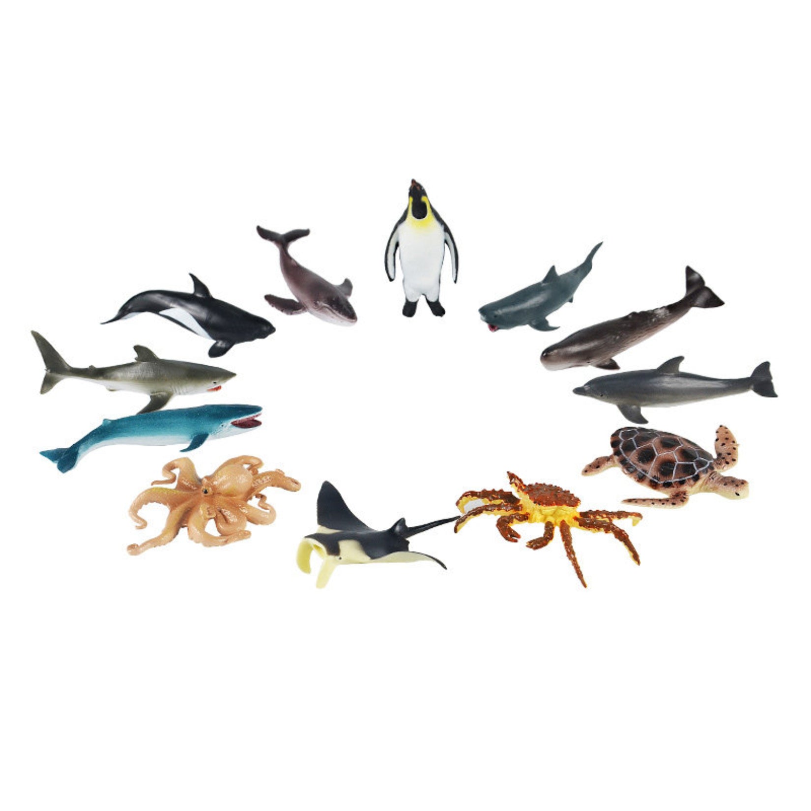 RECUR  Marine Animal Model Set