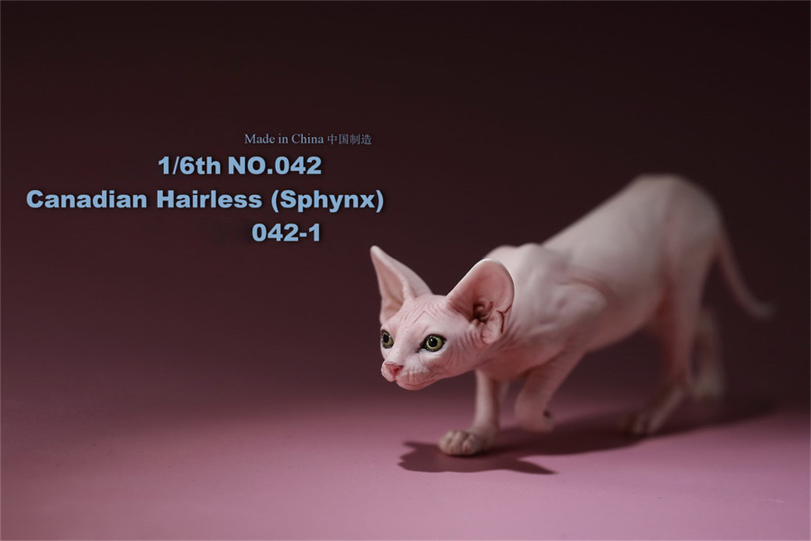 1/6 Canadian Hairless Figure