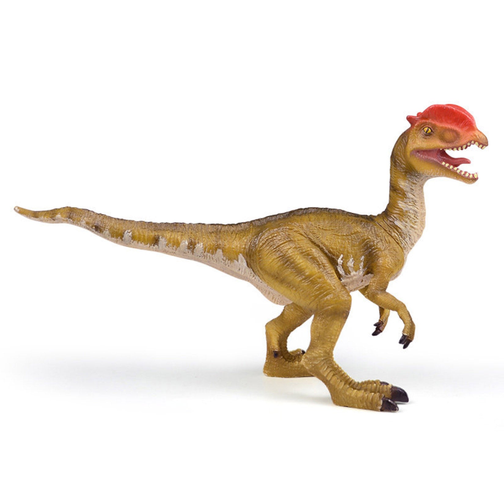 RECUR Dilophosaurus  Model