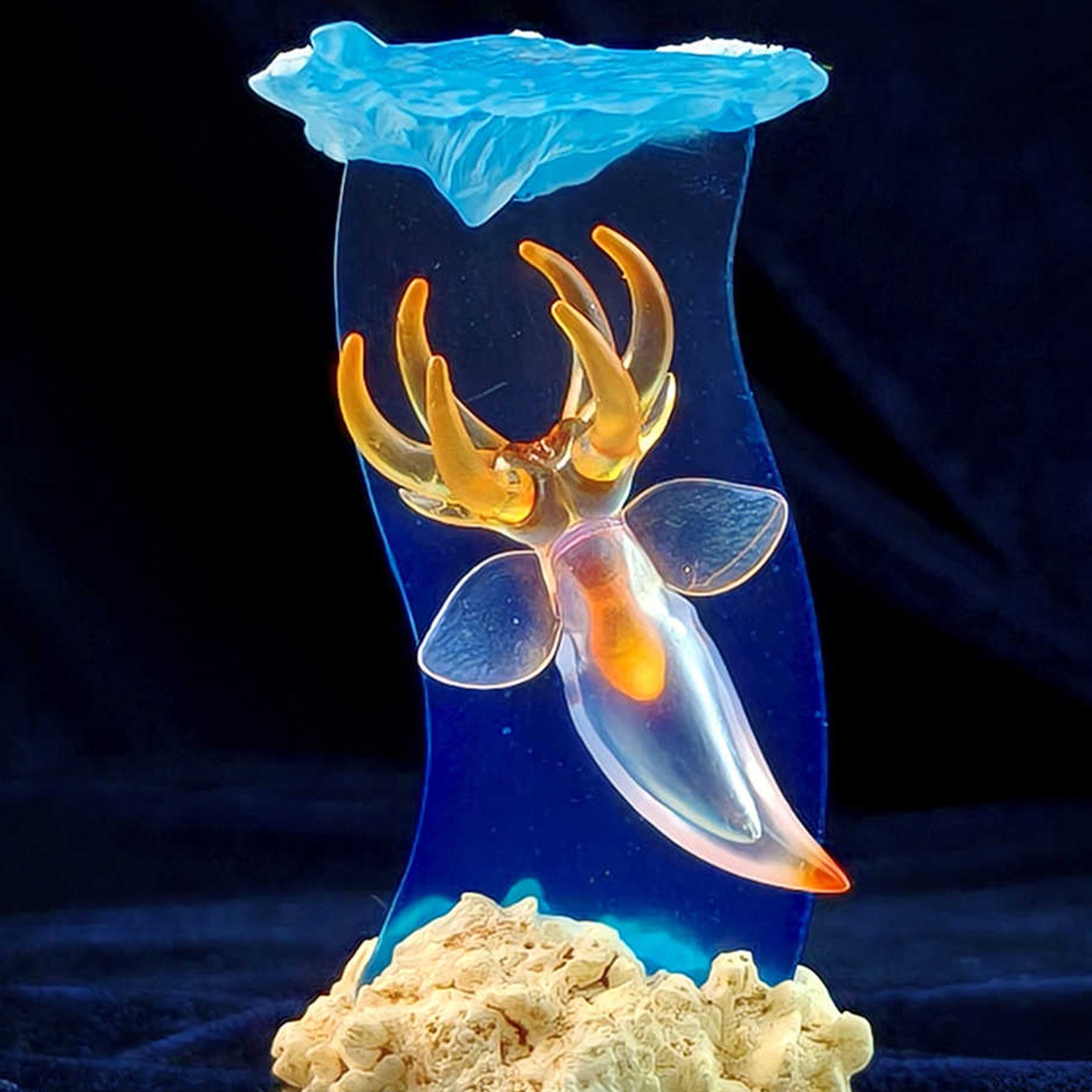 Sea Sprite 04 Series Model