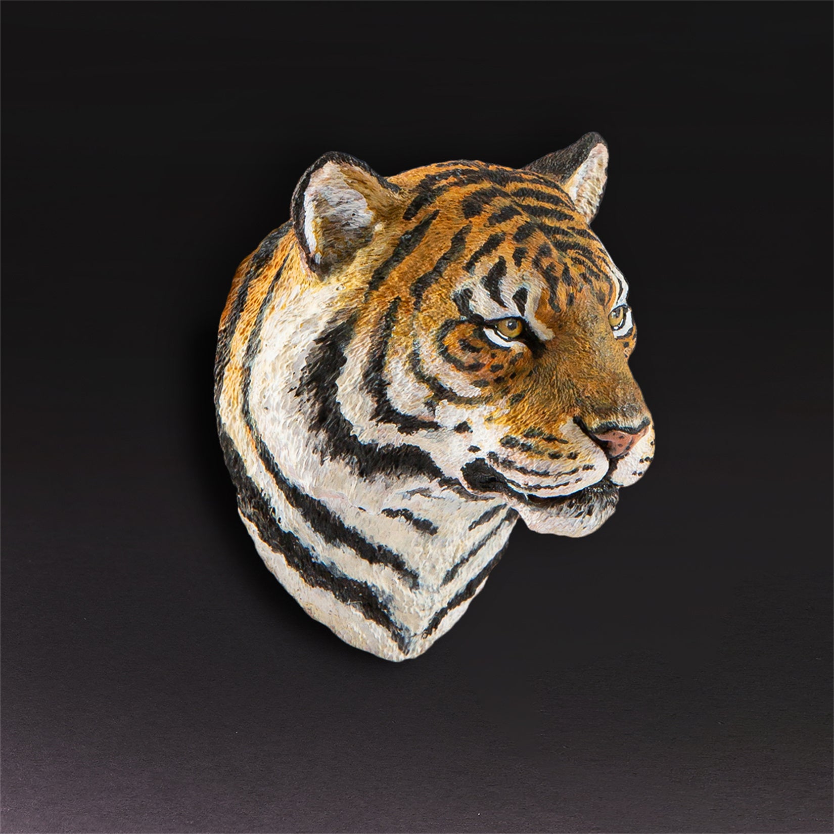 Animal Planet  World Encyclopedia Of Animals