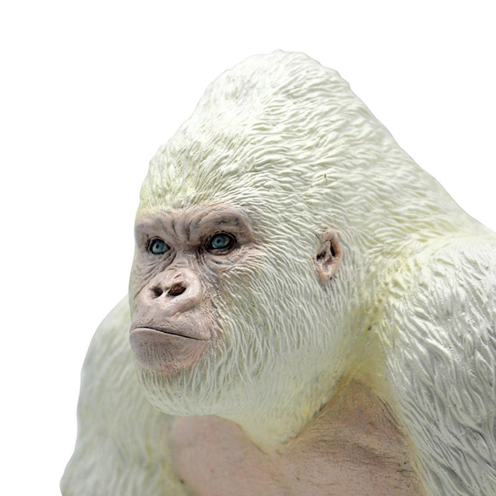 RECUR Gorilla Wild Animal Model