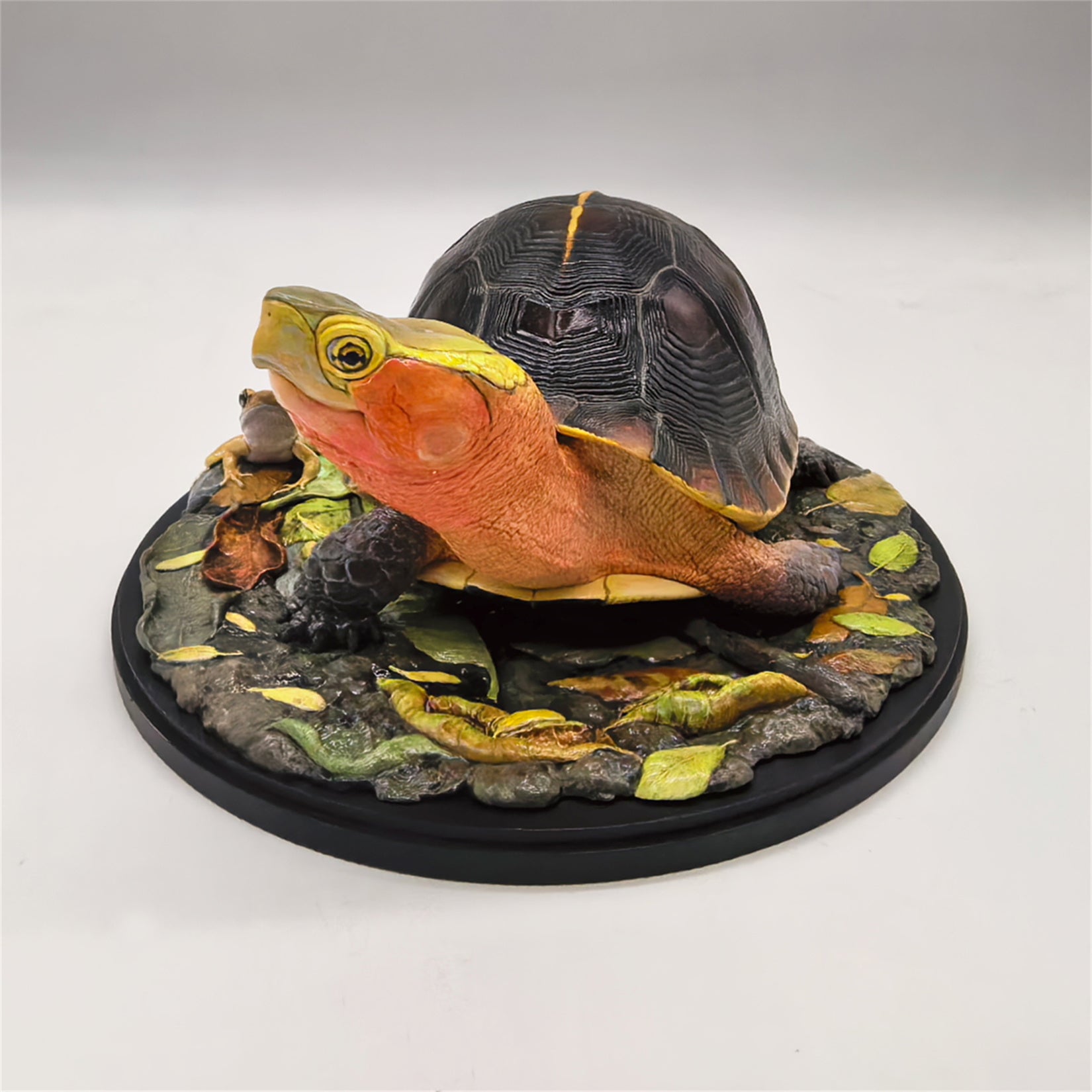 Animal Planet Yellow-margined Box Turtle Model