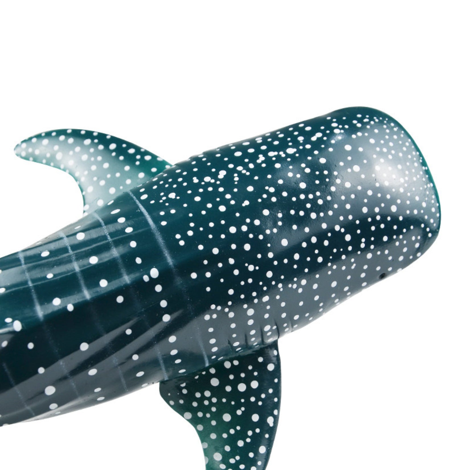RECUR Whale Shark Model