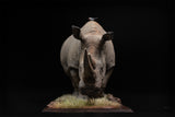 De CLAY Studio White rhinoceros Model