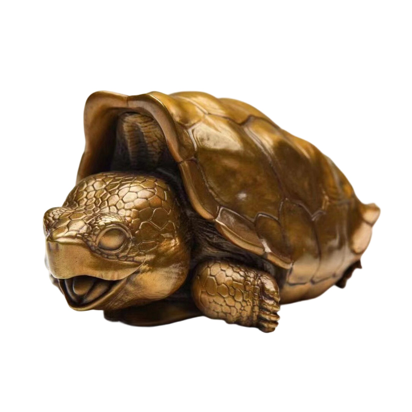 BOWUZHI Studio Chelonoidis Niger Bronze Model