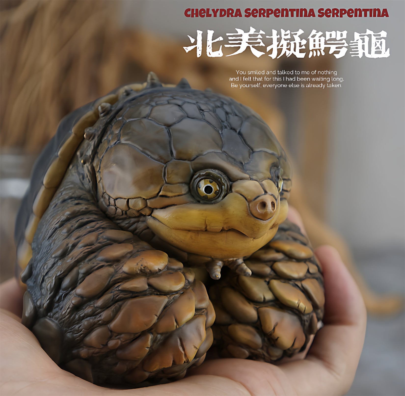 Common Snapping Turtle‌ & Ploughshare Tortoise‌ Figure