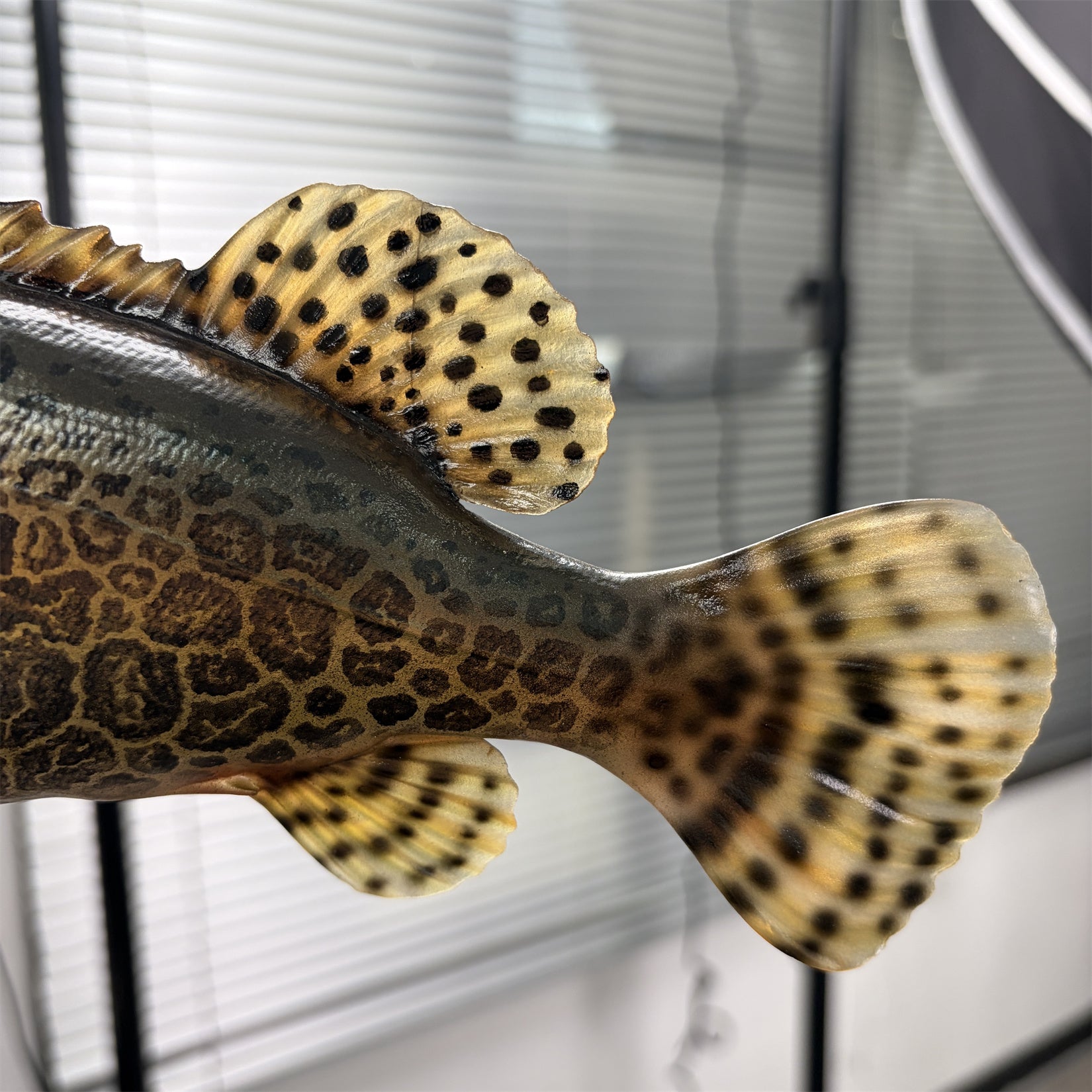 Siniperca Scherzeri  Model Fish Figure