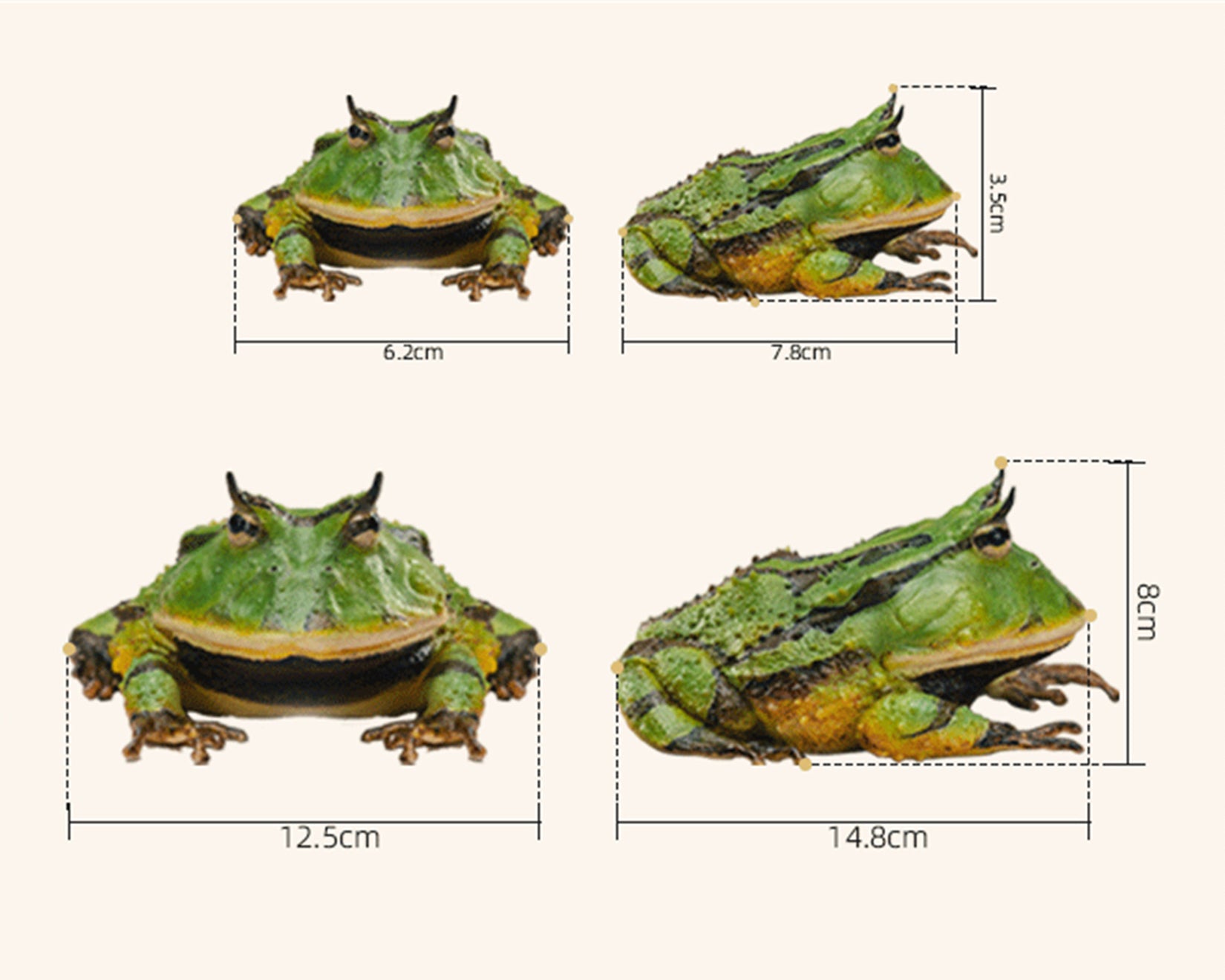 Surinam Horned Frog Model Ceratophrys Cornuta Figure