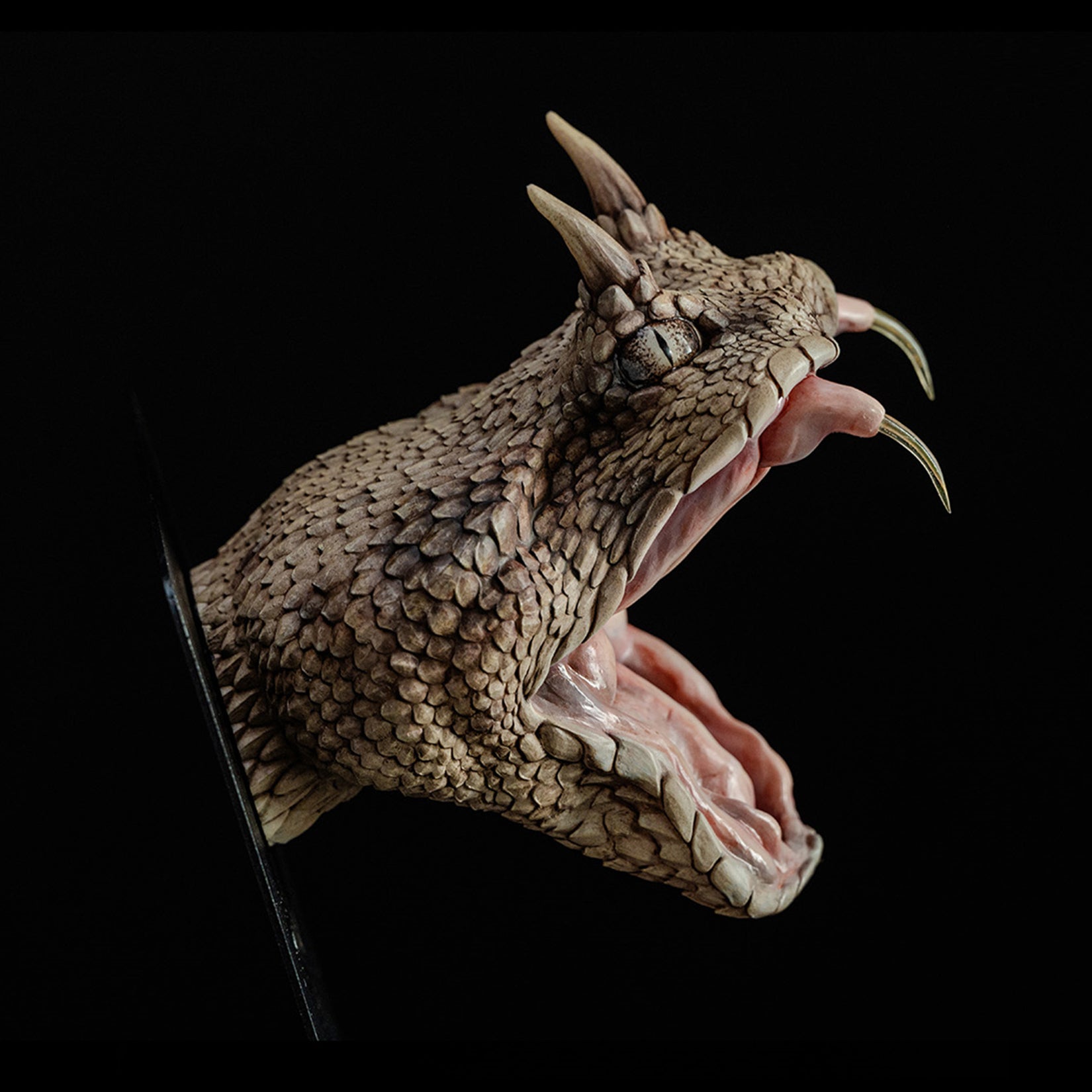 Cerastes Cornutus  Snake Model