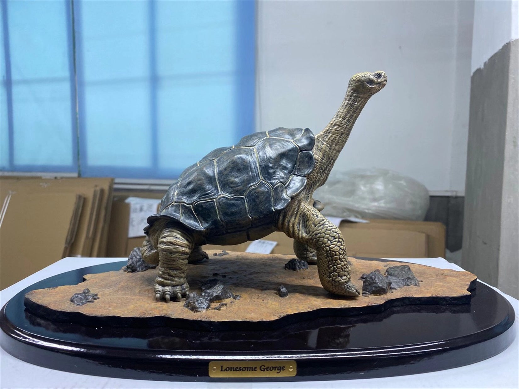 Lonesome George Model