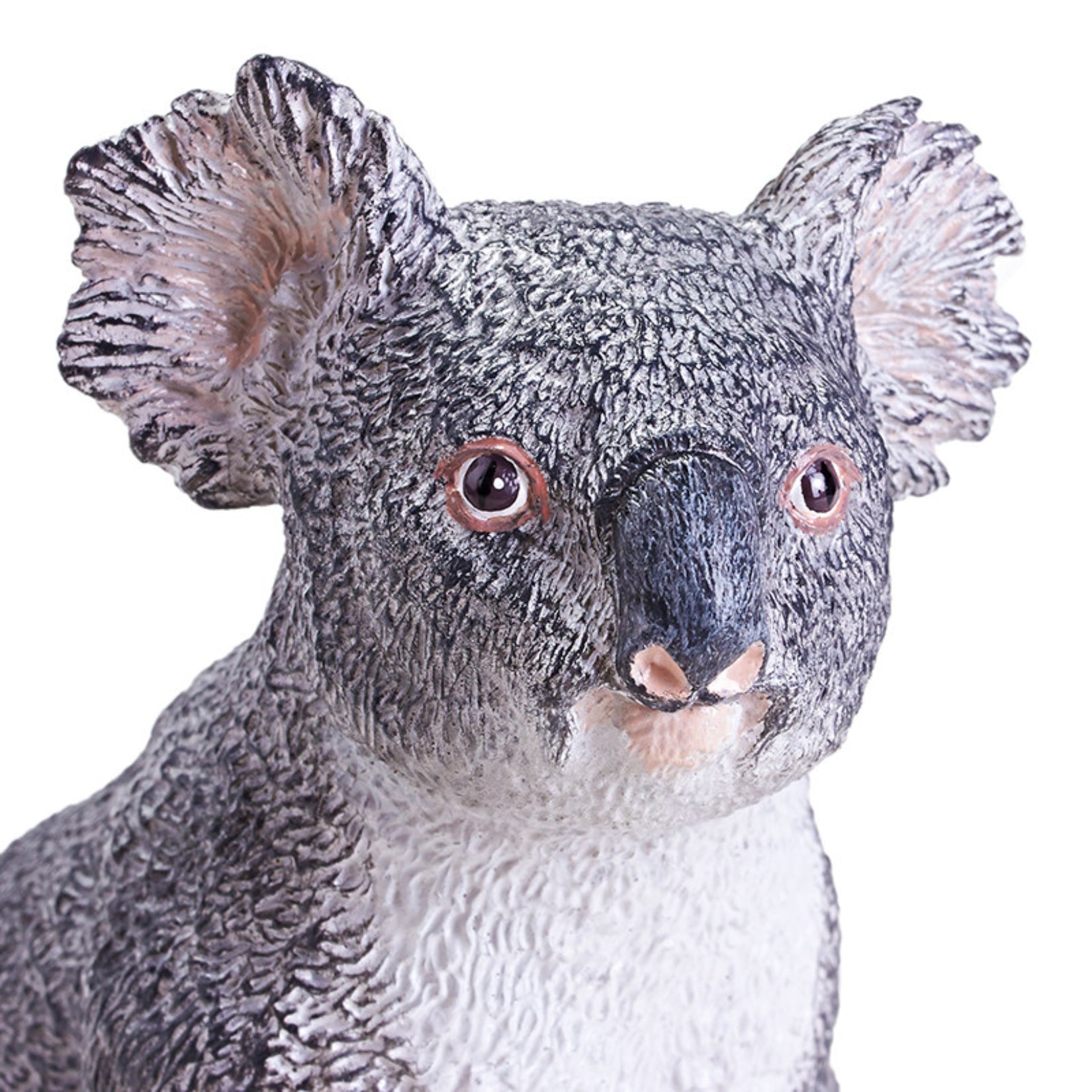 RECUR Koala Animal Model