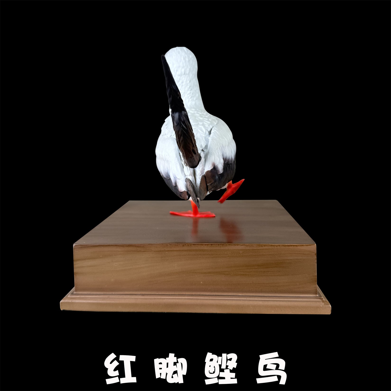 BOWUZHI Studio Red-Footed Booby Bird Figurine