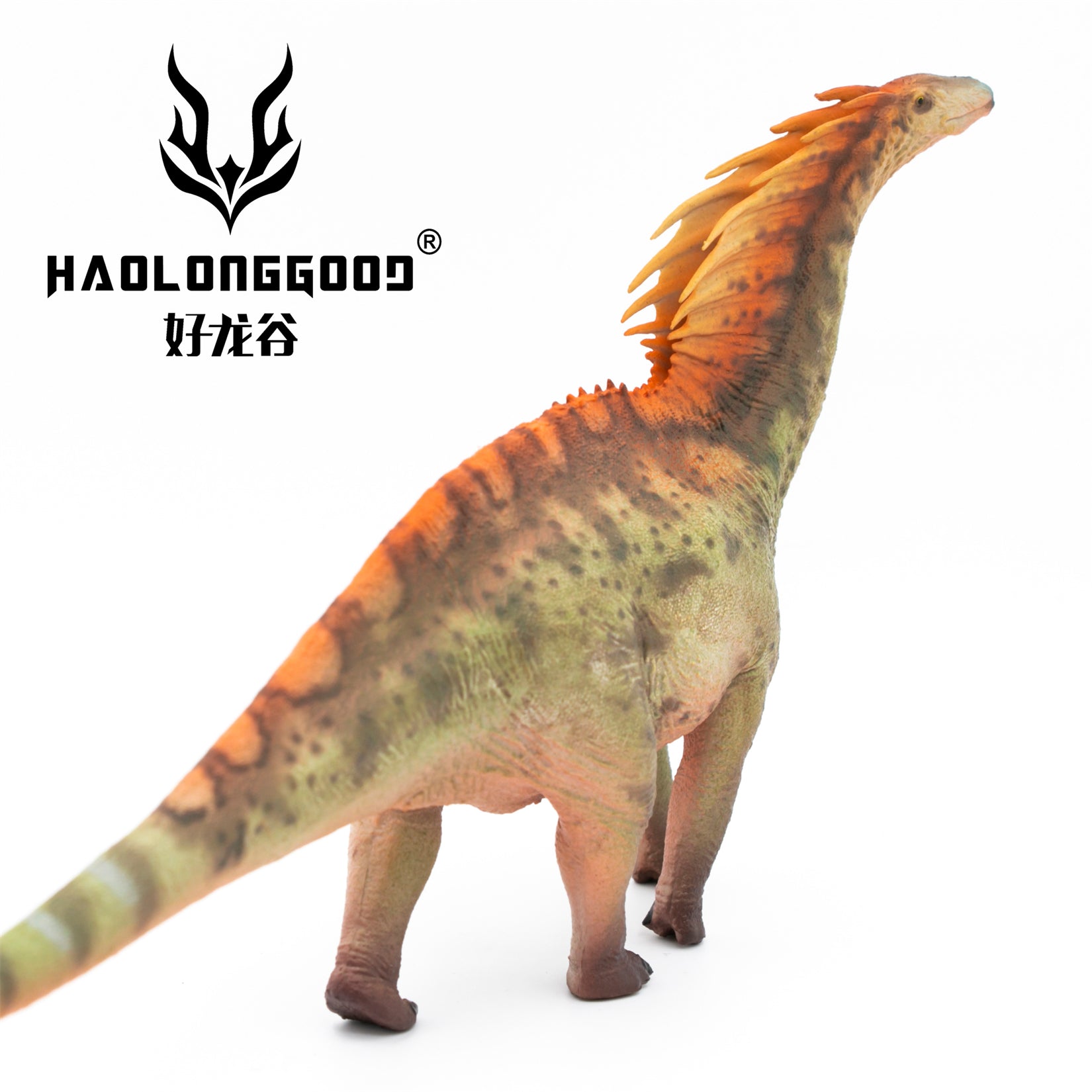 HAOLONGGOOD 1:35 Scale Amargasaurus Model