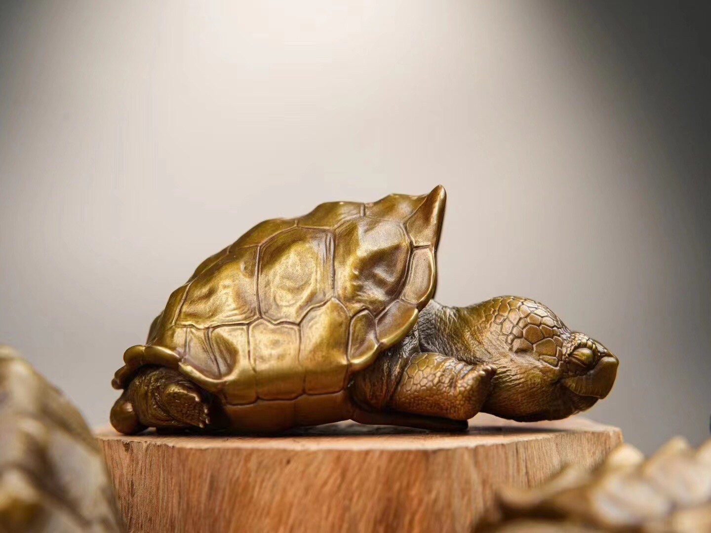 BOWUZHI Studio Galápagos Giant Tortoise Bronze Model