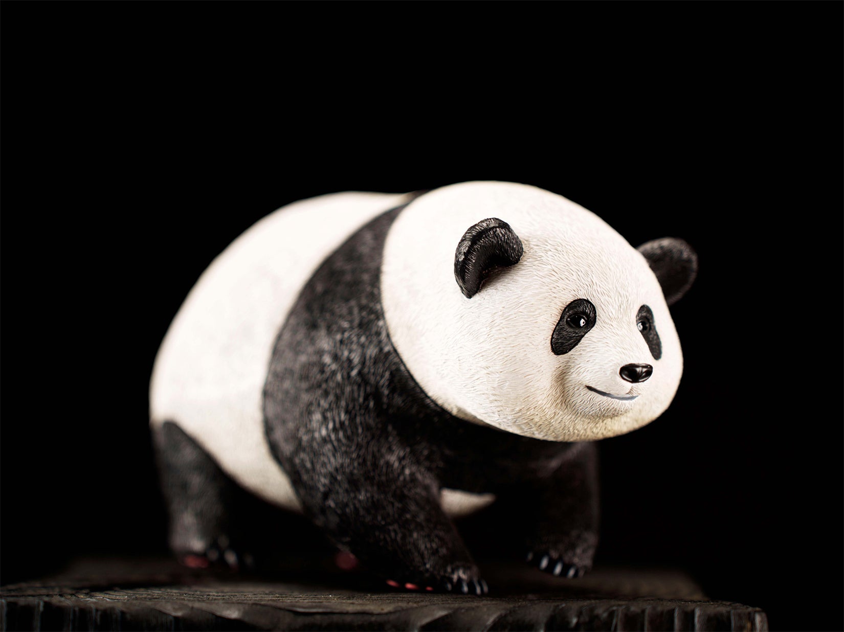 Schildkröten-Serie Tiermodell 