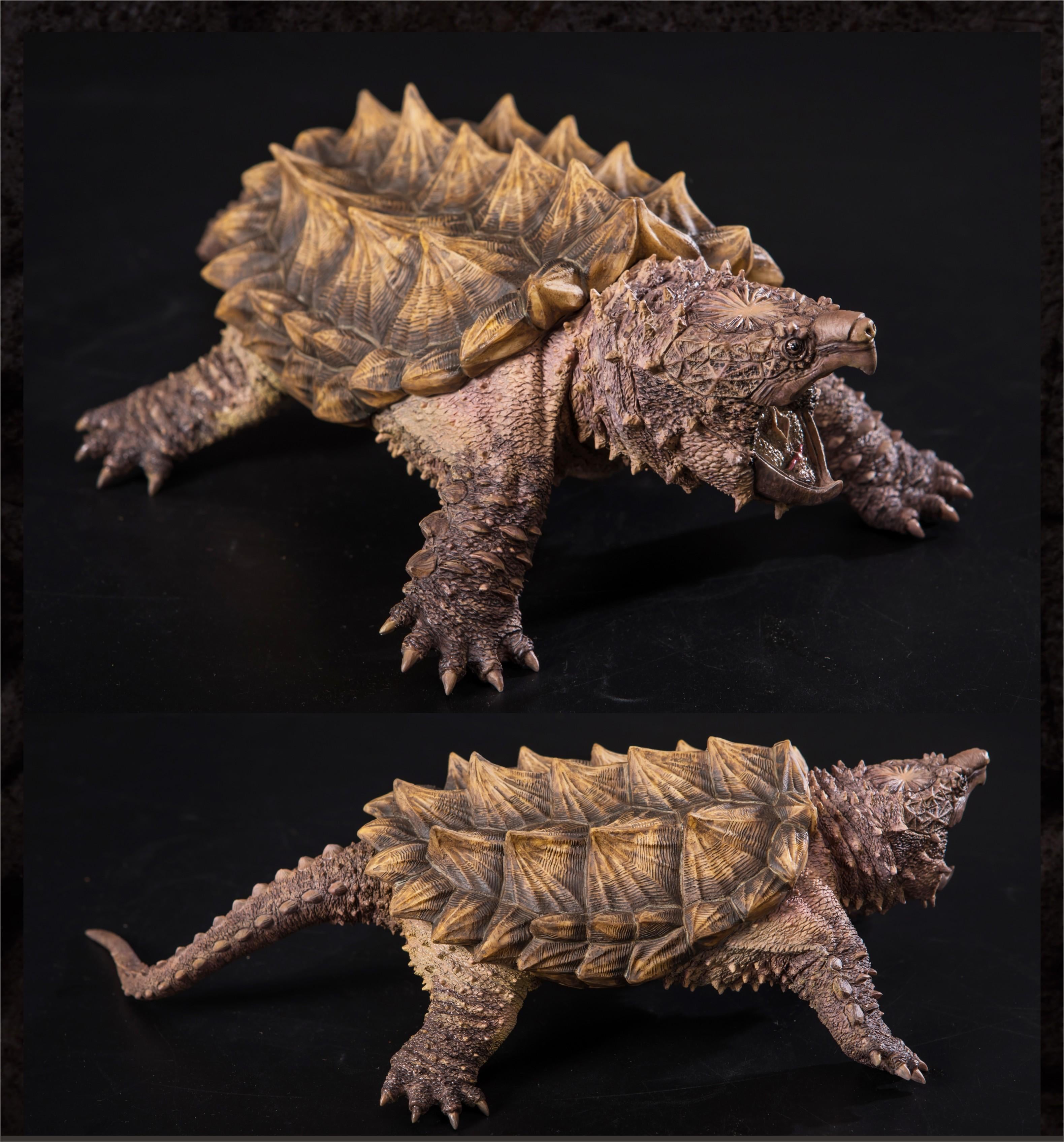 Macrochelys Temminckii Figure