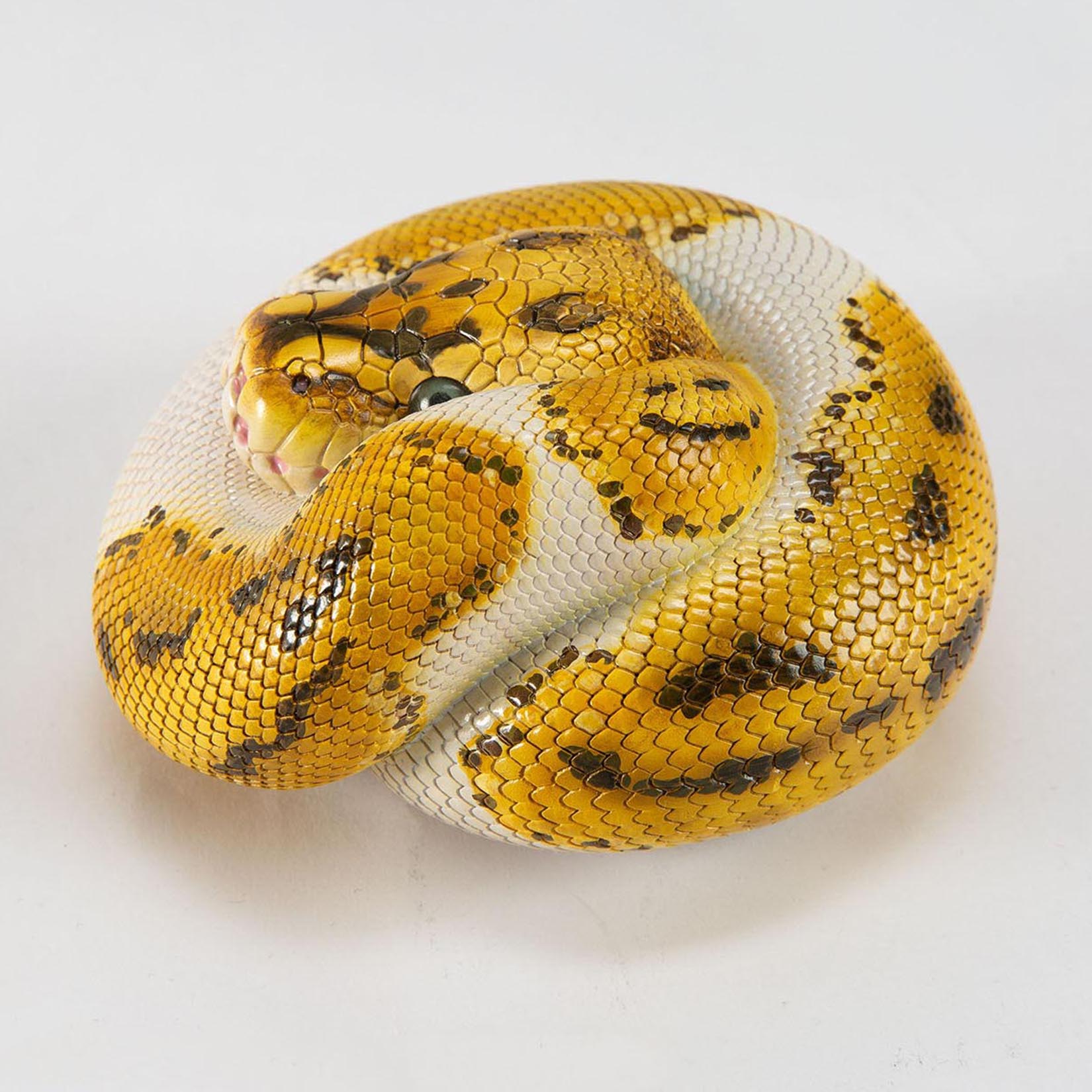 Animal Heavenly Body Plus Ball Python‌ Model