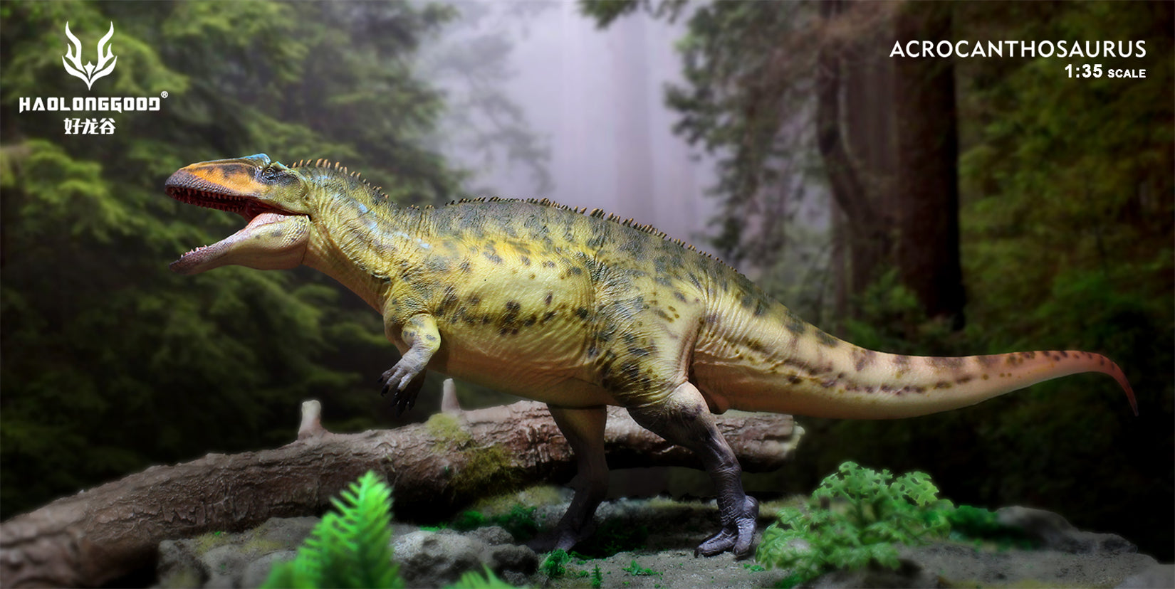 HAOLONGGOOD 1:35 Scale Acrocanthosaurus Model
